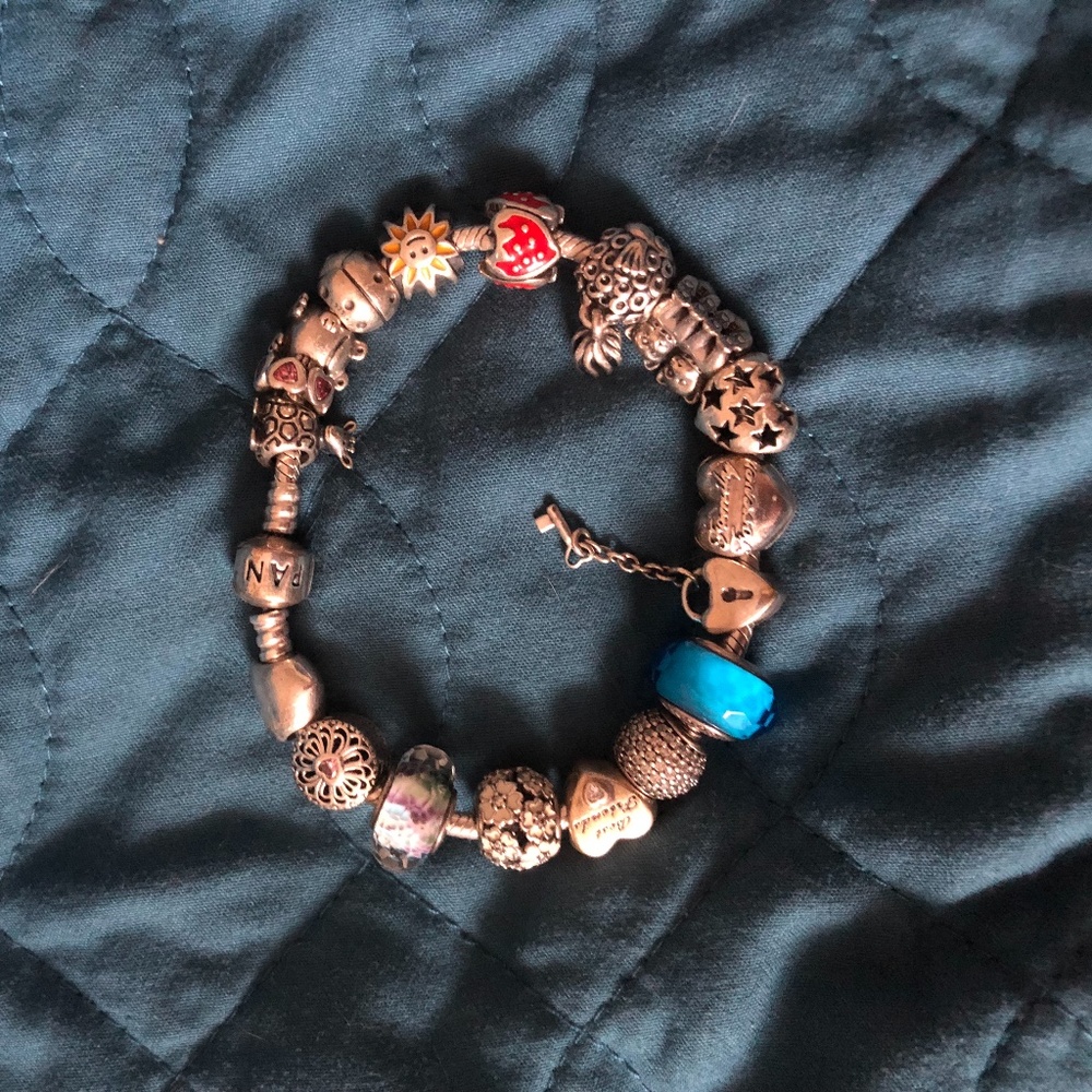 Pandora Bracelet and Charms